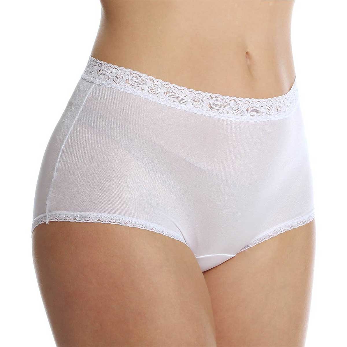 http://www.pnemir.com/cdn/shop/products/cuddl-duds-lorraine-nylon-full-brief-with-lace-trim-panty-_lr102.jpg?v=1681842902