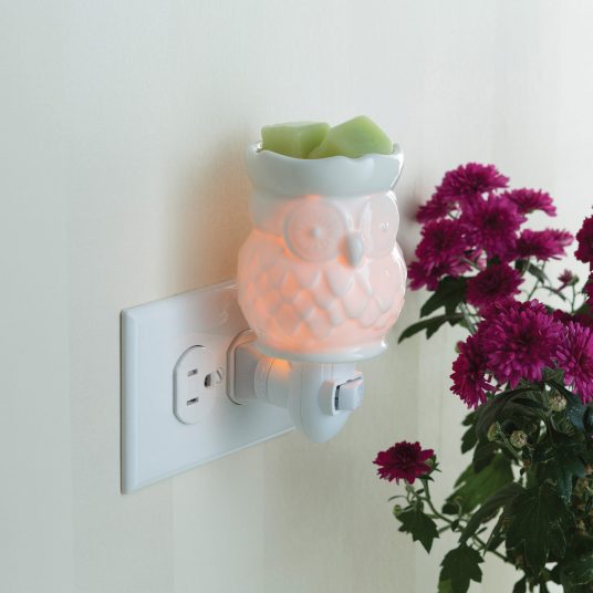 Pluggable Fragrance Warmer