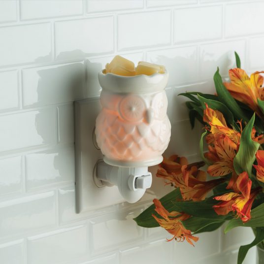 Pluggable Fragrance Warmer