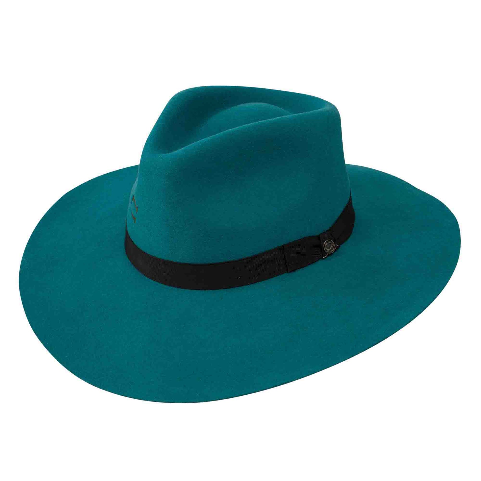 Charlie 1 Horse Hat Highway Teal